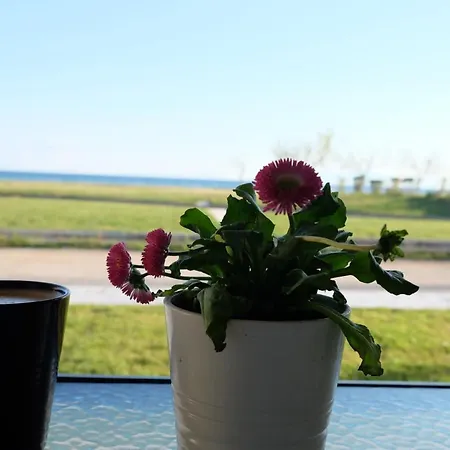 Lejlighed Onar By The Sea Luxurious Flogita